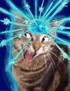 Image result for Smerth Cat Meme
