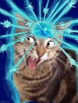 Image result for Cat Brain Loading Meme