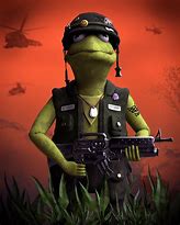 Image result for Kermit the Frog in the Army