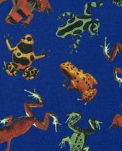 Image result for Frog Pajamas