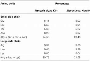 Image result for mm Chain Size Chart