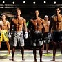 Image result for Womens MMA Shorts
