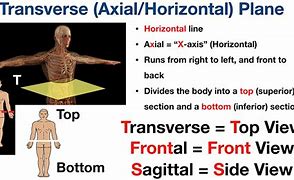 Image result for Horizontal Position