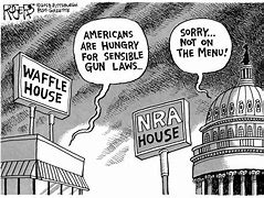 Image result for Gun Law Cartoons