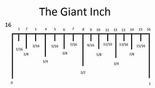 Image result for How Big Is 36 Inches