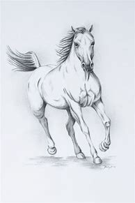 Image result for Charcoal Horse Drawing