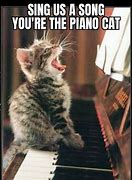 Image result for Cat Playing Piano Meme
