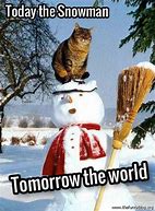 Image result for Winter Animal Meme