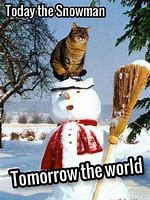 Image result for Winter Memes Pics