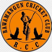 Image result for Cricket Team Members Cartoon