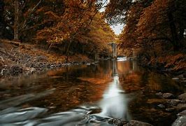 Image result for Beautiful Forest Nature Backgrounds