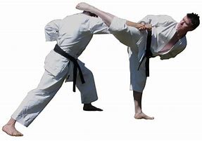 Image result for What Is Karate