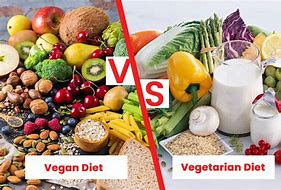 Image result for What Is the Difference Between Vegan and Veg