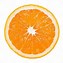 Image result for oranges slice