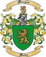 Image result for Morgan Coat of Arms