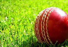 Image result for Cricket Magazine Background