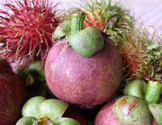 Image result for Mangosteen