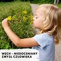 Image result for co_to_znaczy_zróbmy_sobie_wnuka