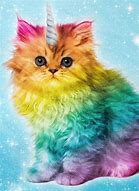 Image result for Kitten Rainbow Unicorn Cats