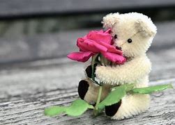 Image result for Rose Bear Phone Case