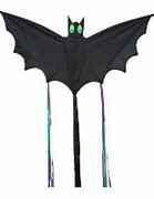 Image result for Black Bat Kite