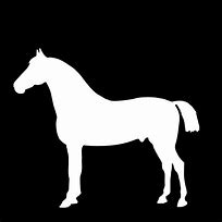 Image result for Easy Horse Outline