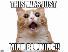 Image result for Mind Blown Cat Meme