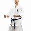 Image result for Japanese Martial Arts Styles