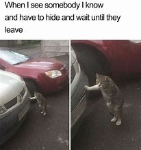 Image result for Funny Memes About Hiding Bad Things