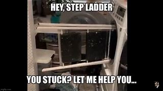 Image result for Step Stool Step Ladder Meme