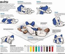 Image result for Jiu-Jitsu Moves