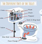 Image result for Toilet Bowl Tank Parts Cup