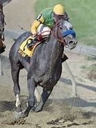 Image result for Silver Charm Race Horse