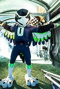 Image result for NFL Anime Woman