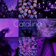Image result for Catalina Wallpaper Name