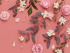 Image result for Pink PC Background