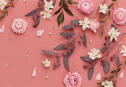Image result for Pink Background for PC