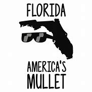 Image result for Florida Mullet Meme