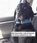 Image result for Voting Booth MEME Funny
