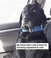 Image result for Register to Vote Meme