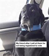 Image result for Up Vote Dog Meme