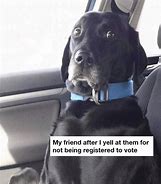 Image result for Funny Election Day Memes