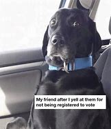 Image result for You Can Drag a Voter to the Polls Meme