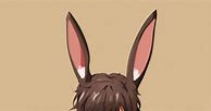 Image result for Anime Men in Bunny Suits