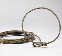 Image result for Lasso Rope