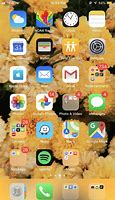 Image result for iPhone 5S Front Layout