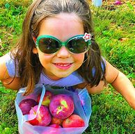 Image result for Pick Apples