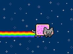 Image result for Nyan Cat Skins