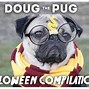 Image result for Borg Pugs
