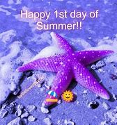 Image result for First Day of Summer Funny